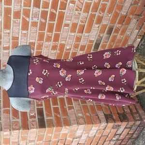 Anthropologie Floral Skater Dress